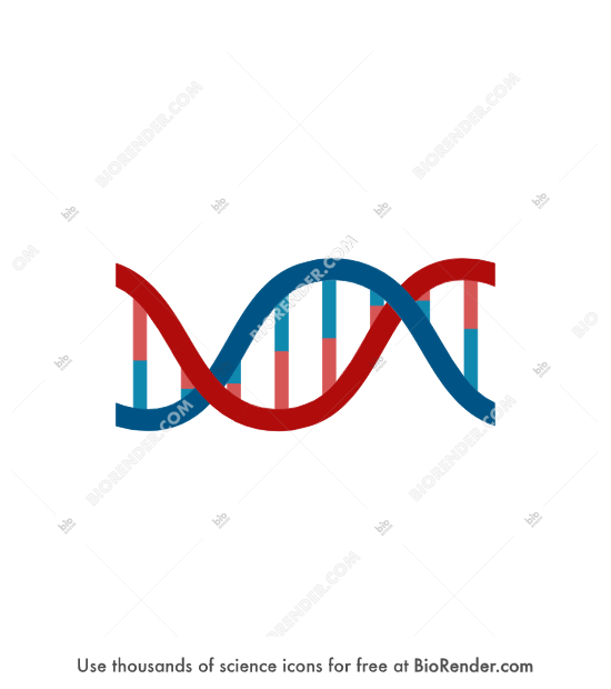 pan_dna